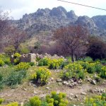 Samothraki